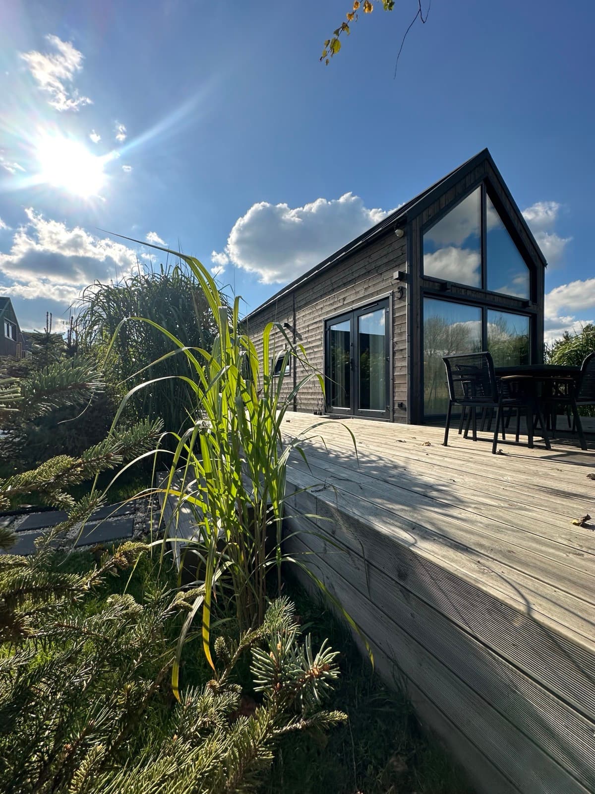 Domek z przeszklonym frontem wśród drzew