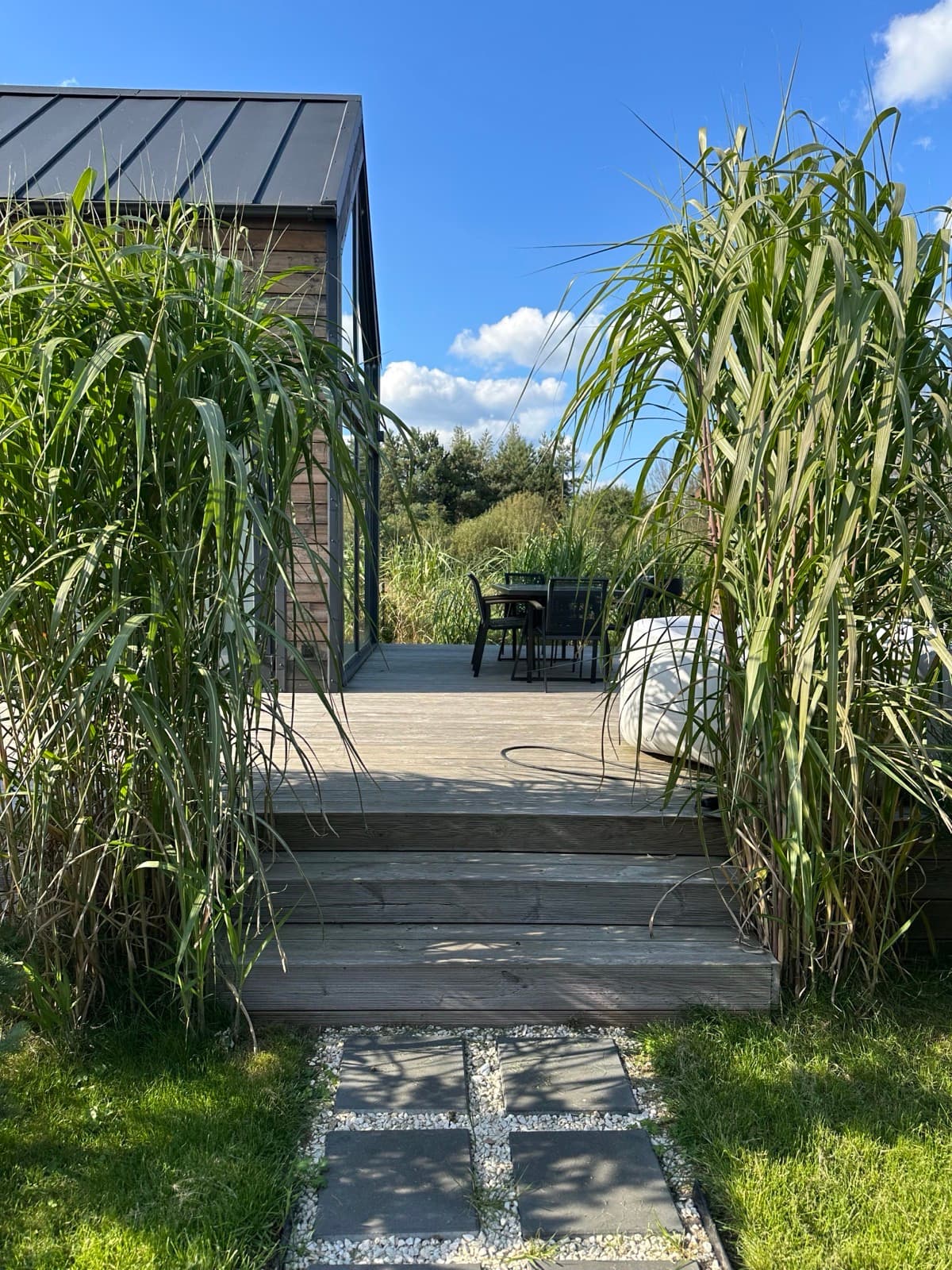 Domki w porannym świetle wśród zieleni