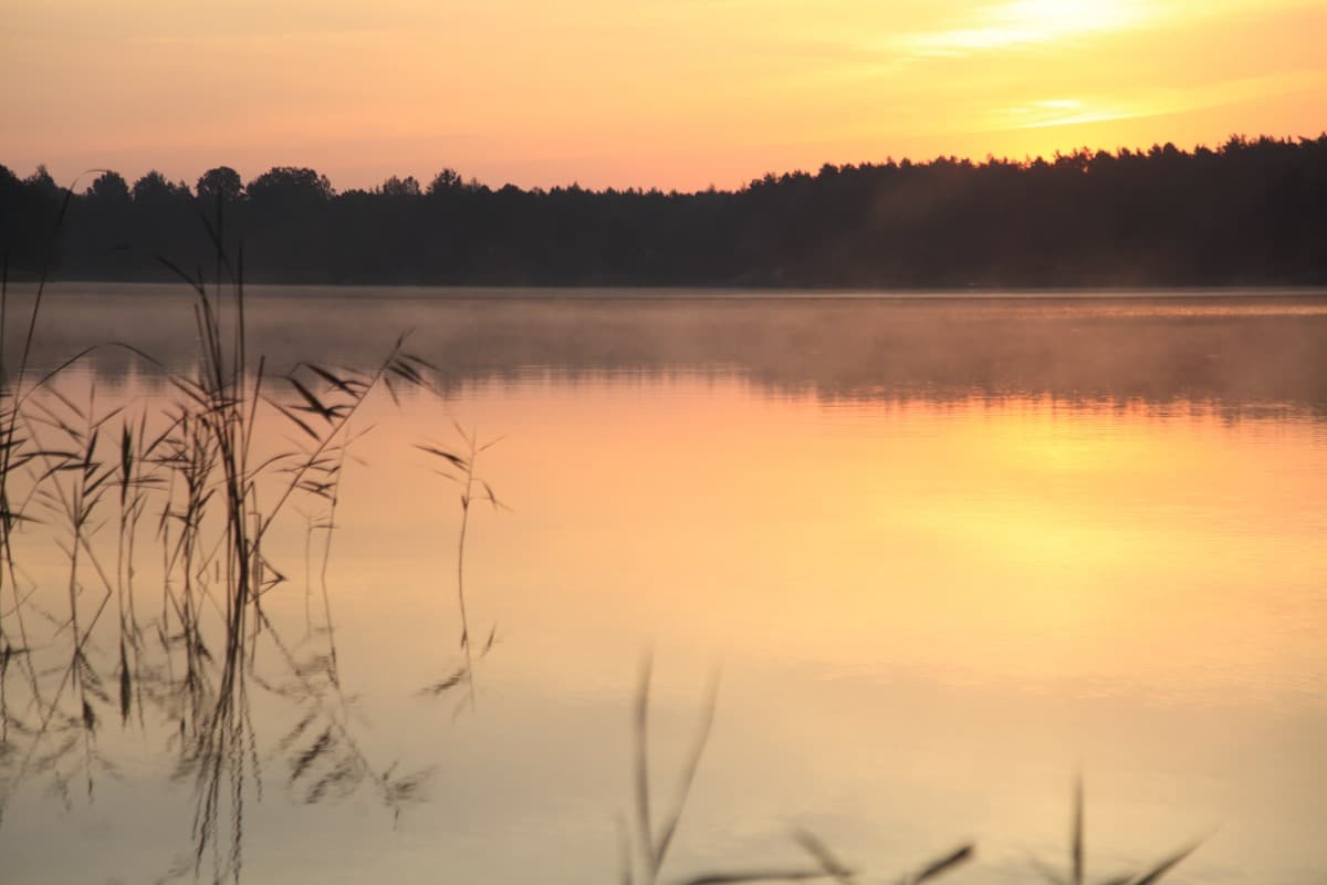Złoty zachód słońca nad jeziorem — trzciny i cisza